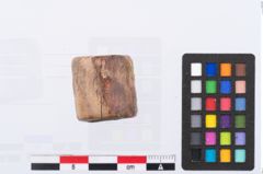 Foto von Beintülle (NHMW-PRAE-002297)